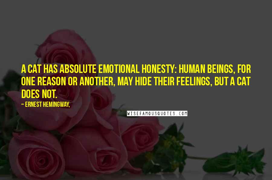 Ernest Hemingway, Quotes: A cat has absolute emotional honesty: human beings, for one reason or another, may hide their feelings, but a cat does not.