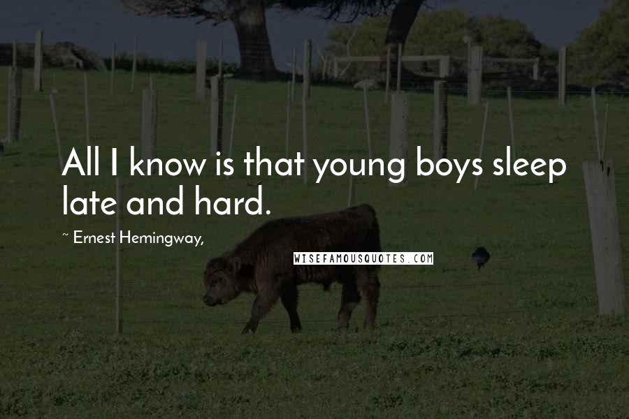 Ernest Hemingway, Quotes: All I know is that young boys sleep late and hard.