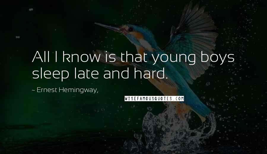 Ernest Hemingway, Quotes: All I know is that young boys sleep late and hard.