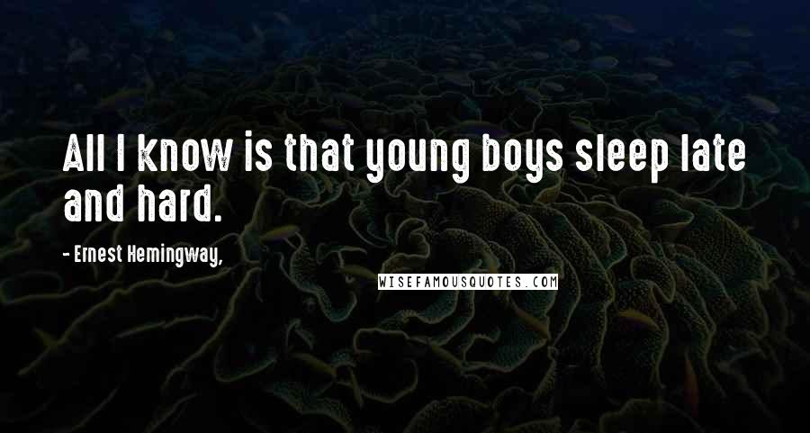 Ernest Hemingway, Quotes: All I know is that young boys sleep late and hard.