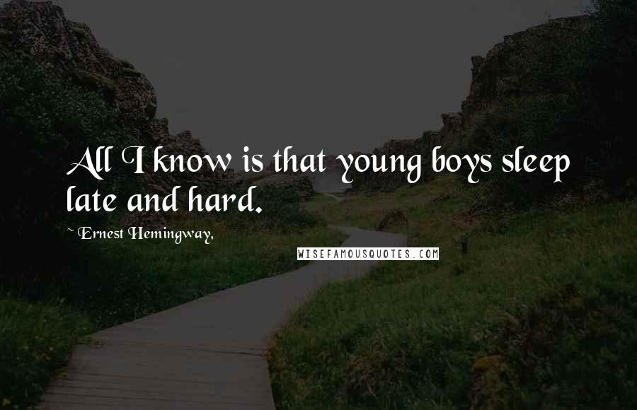 Ernest Hemingway, Quotes: All I know is that young boys sleep late and hard.