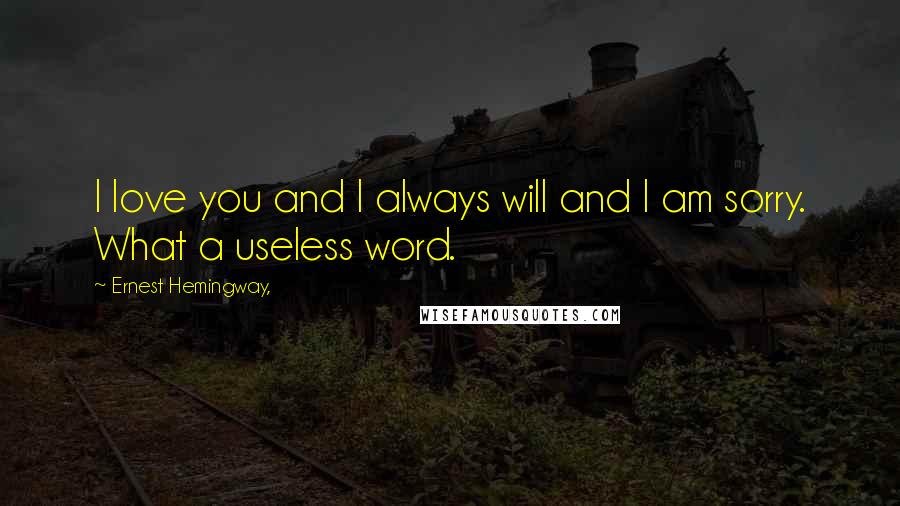 Ernest Hemingway, Quotes: I love you and I always will and I am sorry. What a useless word.