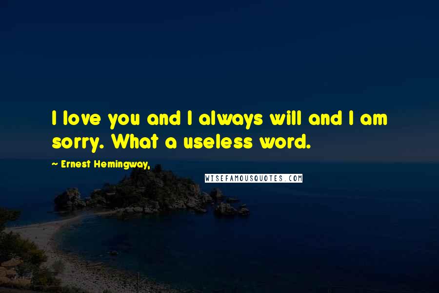 Ernest Hemingway, Quotes: I love you and I always will and I am sorry. What a useless word.