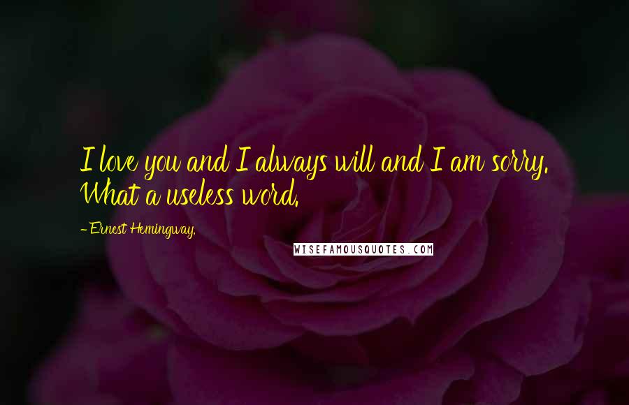 Ernest Hemingway, Quotes: I love you and I always will and I am sorry. What a useless word.