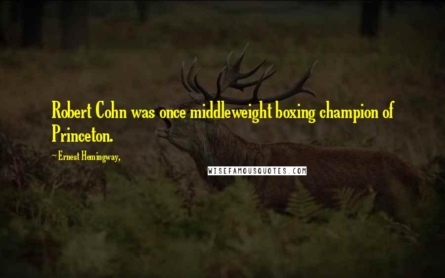 Ernest Hemingway, Quotes: Robert Cohn was once middleweight boxing champion of Princeton.