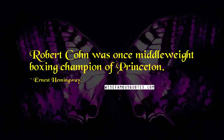 Ernest Hemingway, Quotes: Robert Cohn was once middleweight boxing champion of Princeton.