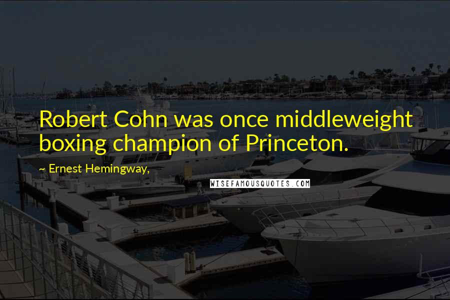 Ernest Hemingway, Quotes: Robert Cohn was once middleweight boxing champion of Princeton.