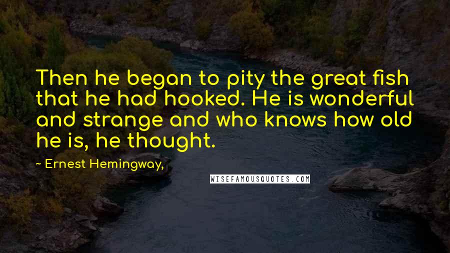 Ernest Hemingway, Quotes: Then he began to pity the great fish that he had hooked. He is wonderful and strange and who knows how old he is, he thought.