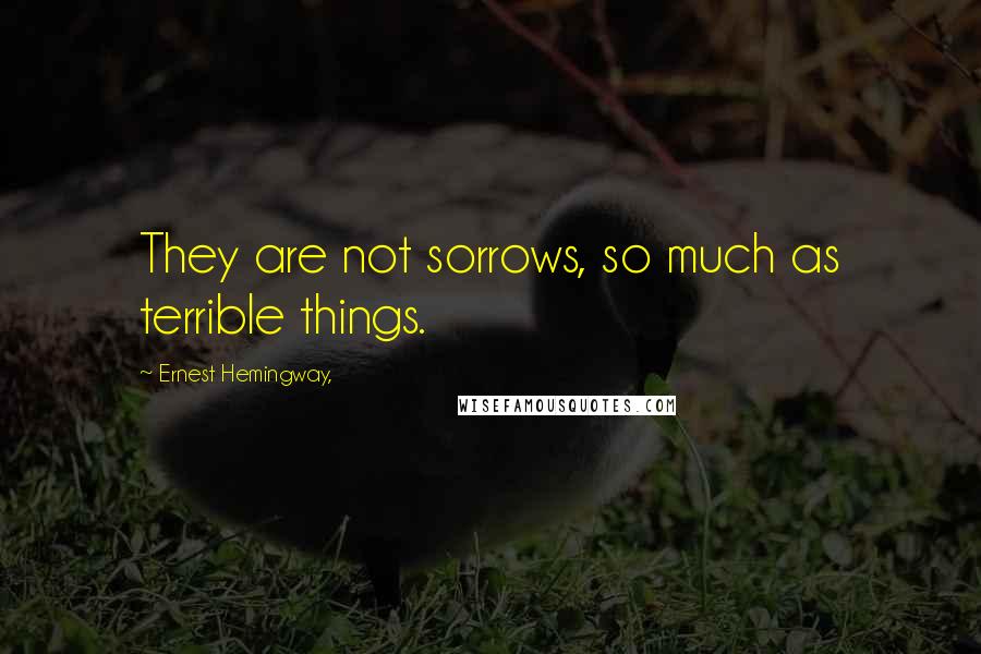 Ernest Hemingway, Quotes: They are not sorrows, so much as terrible things.