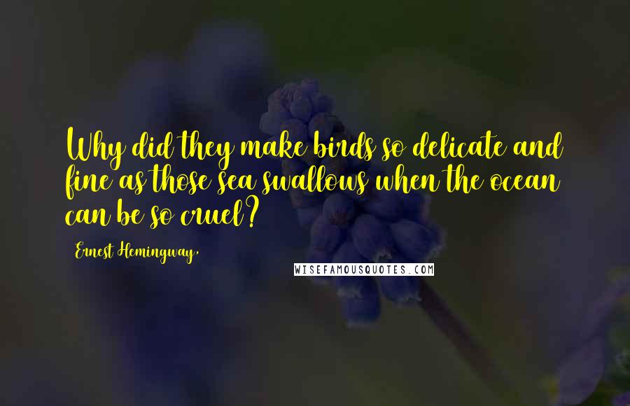 Ernest Hemingway, Quotes: Why did they make birds so delicate and fine as those sea swallows when the ocean can be so cruel?