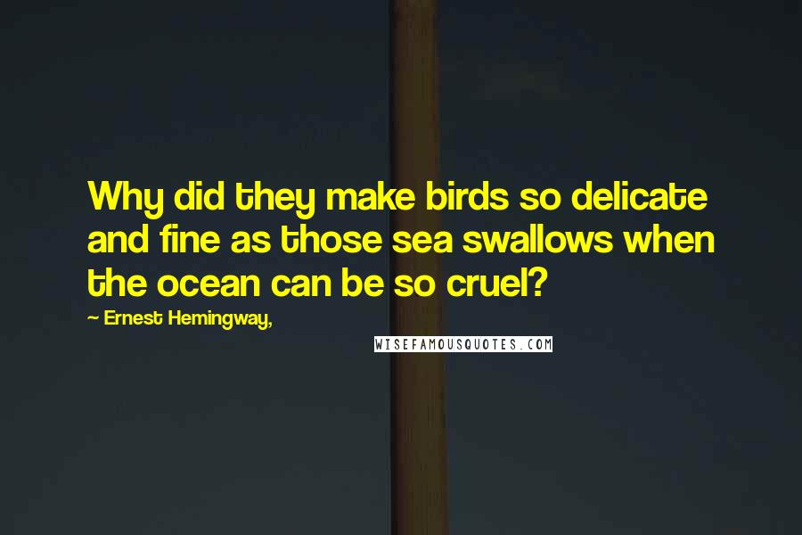 Ernest Hemingway, Quotes: Why did they make birds so delicate and fine as those sea swallows when the ocean can be so cruel?