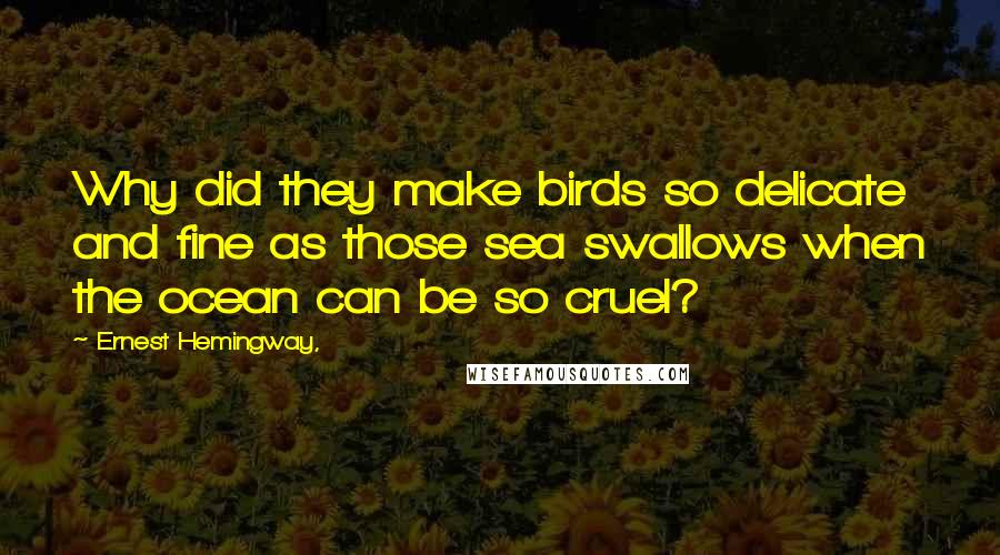 Ernest Hemingway, Quotes: Why did they make birds so delicate and fine as those sea swallows when the ocean can be so cruel?