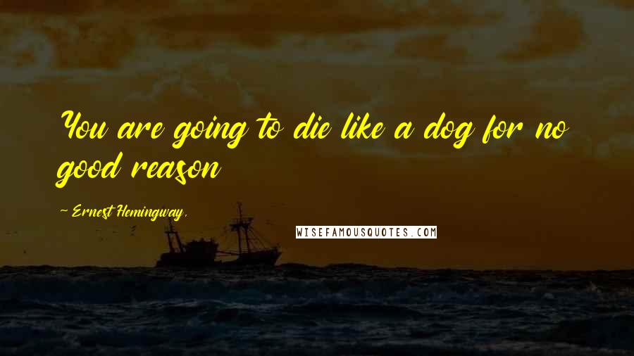 Ernest Hemingway, Quotes: You are going to die like a dog for no good reason