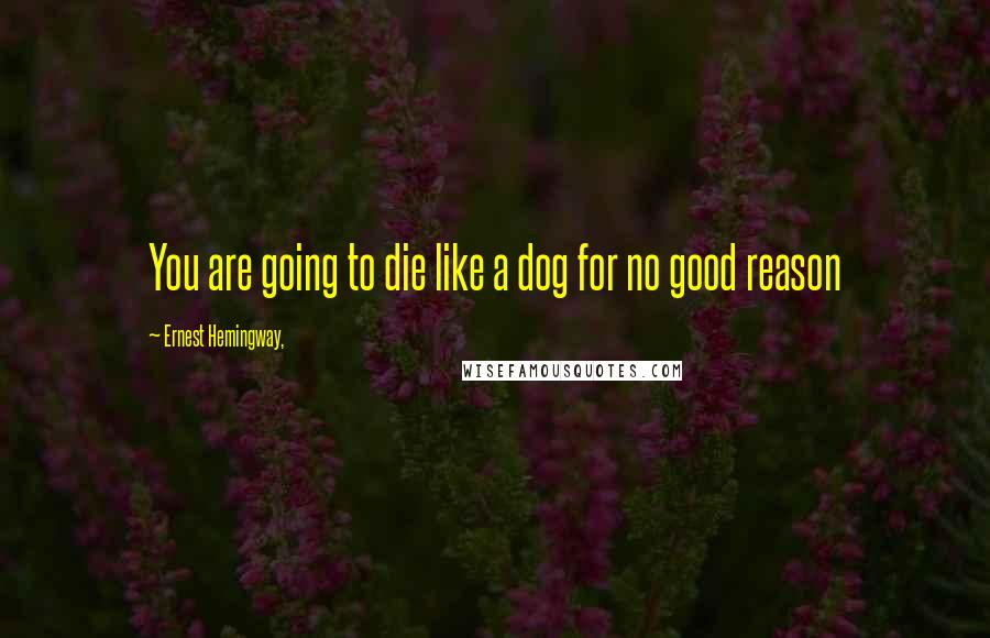 Ernest Hemingway, Quotes: You are going to die like a dog for no good reason