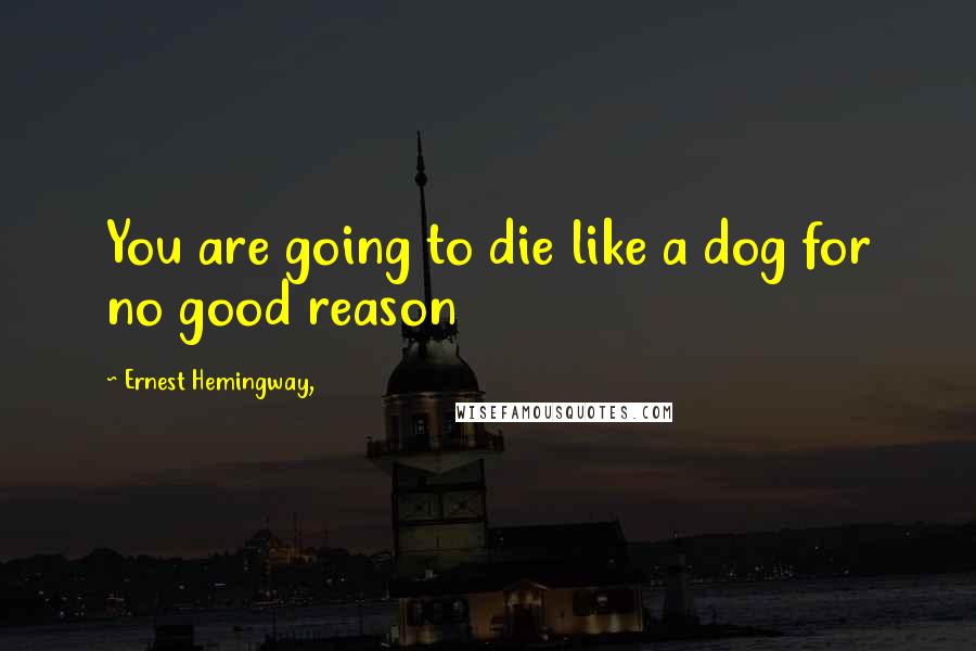 Ernest Hemingway, Quotes: You are going to die like a dog for no good reason