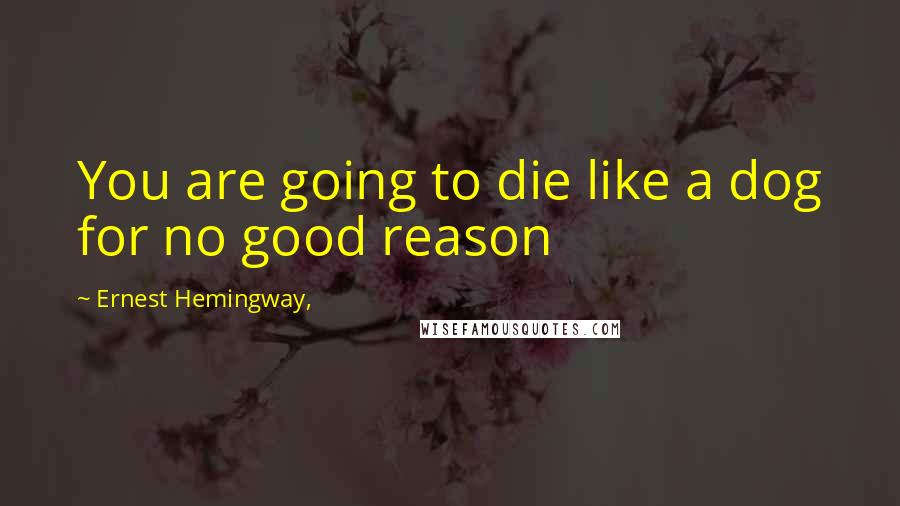 Ernest Hemingway, Quotes: You are going to die like a dog for no good reason