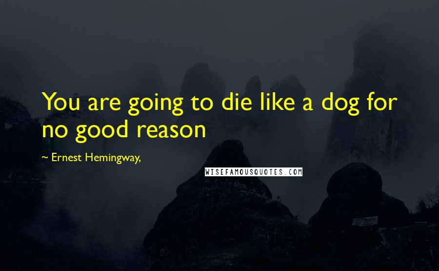 Ernest Hemingway, Quotes: You are going to die like a dog for no good reason