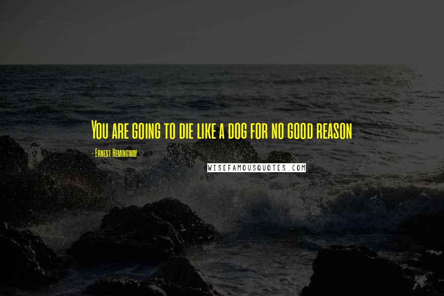 Ernest Hemingway, Quotes: You are going to die like a dog for no good reason