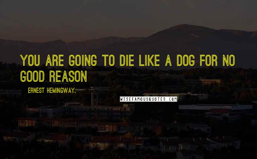 Ernest Hemingway, Quotes: You are going to die like a dog for no good reason