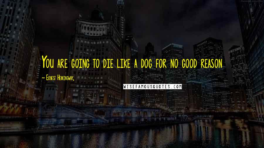 Ernest Hemingway, Quotes: You are going to die like a dog for no good reason