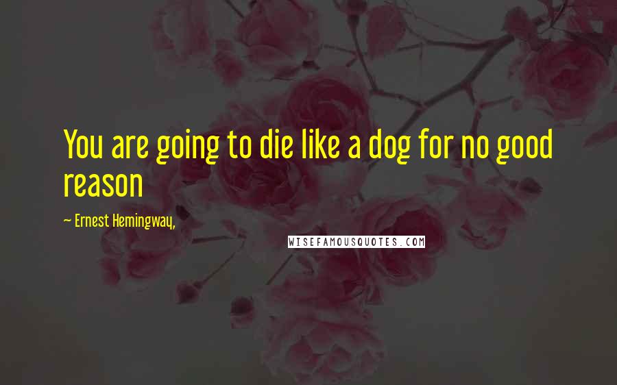 Ernest Hemingway, Quotes: You are going to die like a dog for no good reason