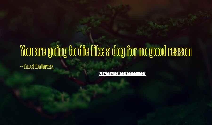 Ernest Hemingway, Quotes: You are going to die like a dog for no good reason