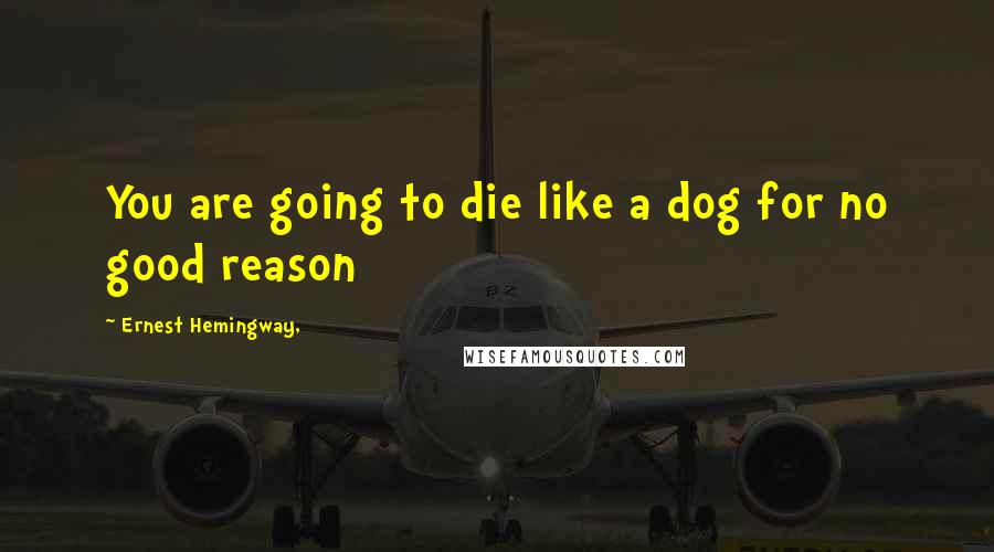 Ernest Hemingway, Quotes: You are going to die like a dog for no good reason