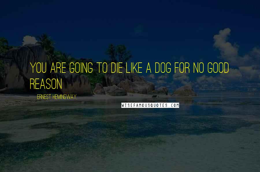 Ernest Hemingway, Quotes: You are going to die like a dog for no good reason