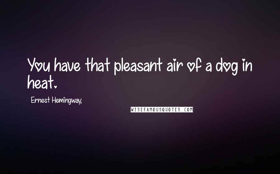 Ernest Hemingway, Quotes: You have that pleasant air of a dog in heat.