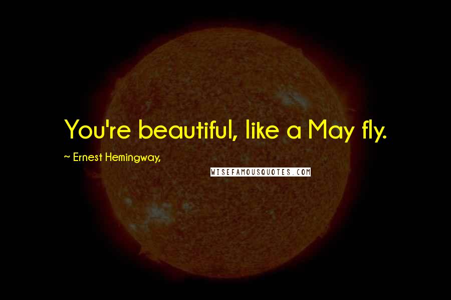 Ernest Hemingway, Quotes: You're beautiful, like a May fly.