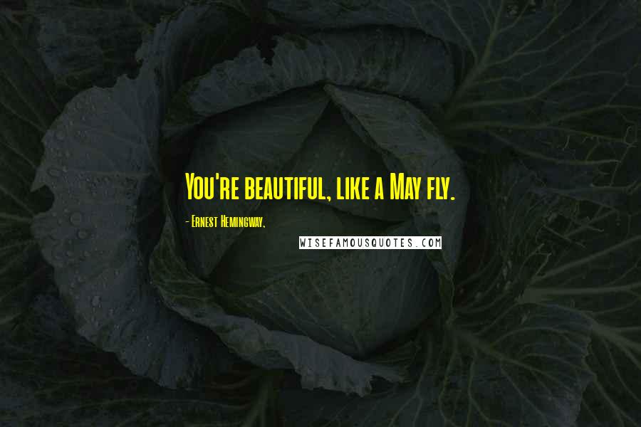 Ernest Hemingway, Quotes: You're beautiful, like a May fly.