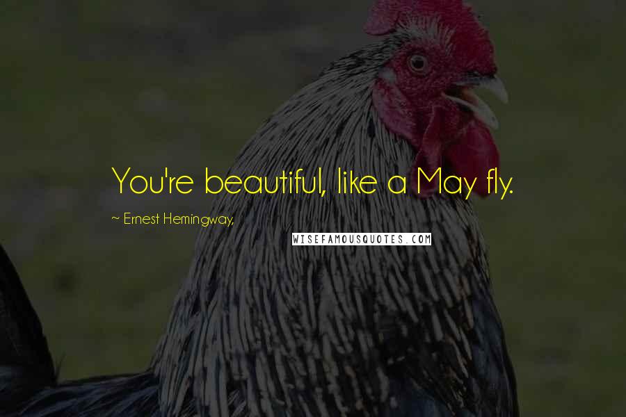 Ernest Hemingway, Quotes: You're beautiful, like a May fly.