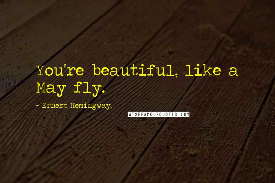 Ernest Hemingway, Quotes: You're beautiful, like a May fly.