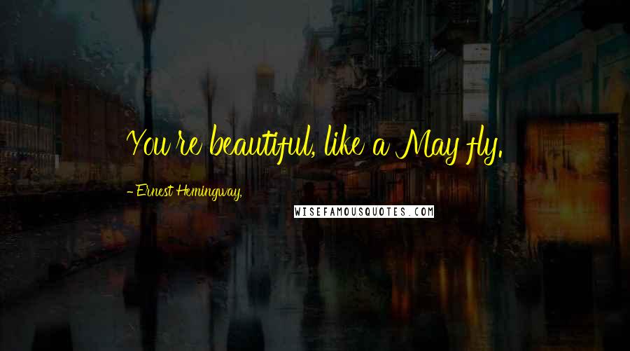 Ernest Hemingway, Quotes: You're beautiful, like a May fly.