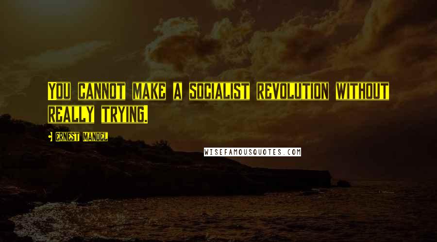 Ernest Mandel Quotes: You cannot make a socialist revolution without really trying.