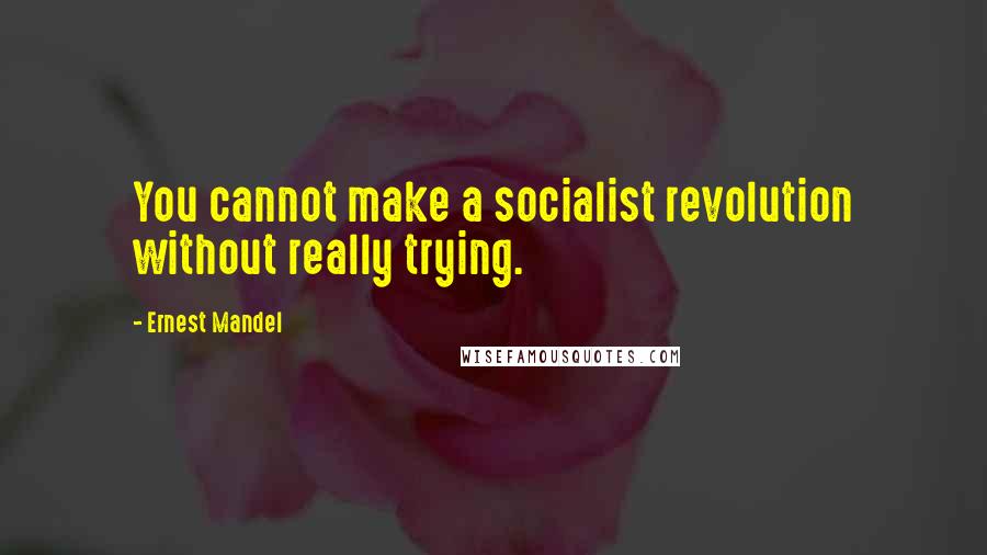 Ernest Mandel Quotes: You cannot make a socialist revolution without really trying.