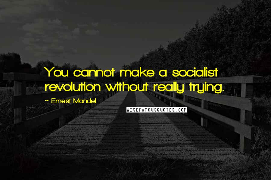 Ernest Mandel Quotes: You cannot make a socialist revolution without really trying.