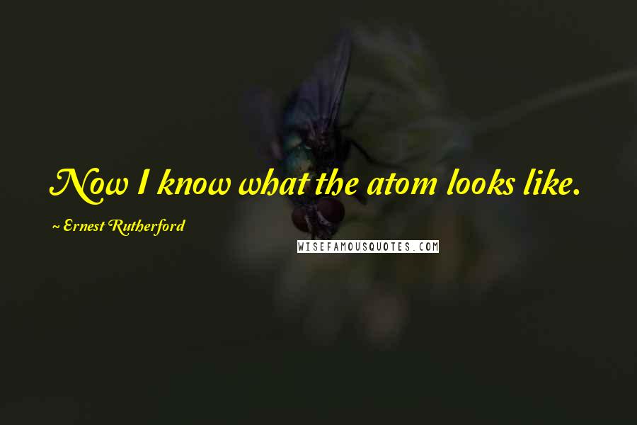 Ernest Rutherford Quotes: Now I know what the atom looks like.