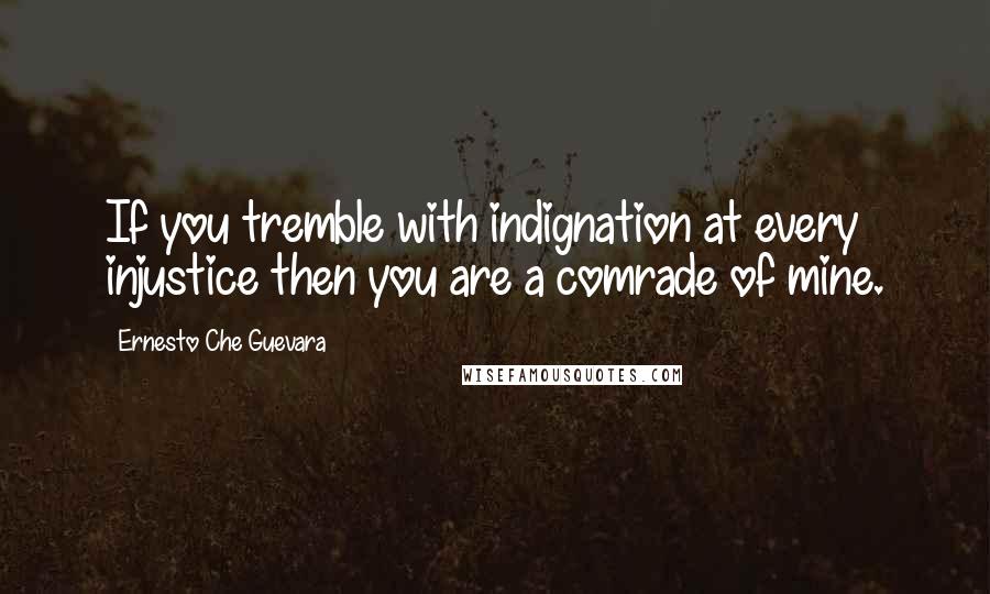 Ernesto Che Guevara Quotes: If you tremble with indignation at every injustice then you are a comrade of mine.