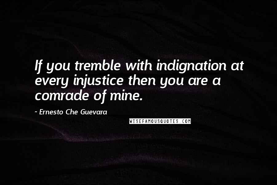 Ernesto Che Guevara Quotes: If you tremble with indignation at every injustice then you are a comrade of mine.