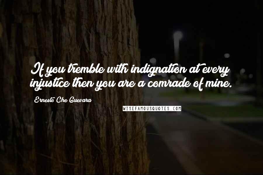 Ernesto Che Guevara Quotes: If you tremble with indignation at every injustice then you are a comrade of mine.