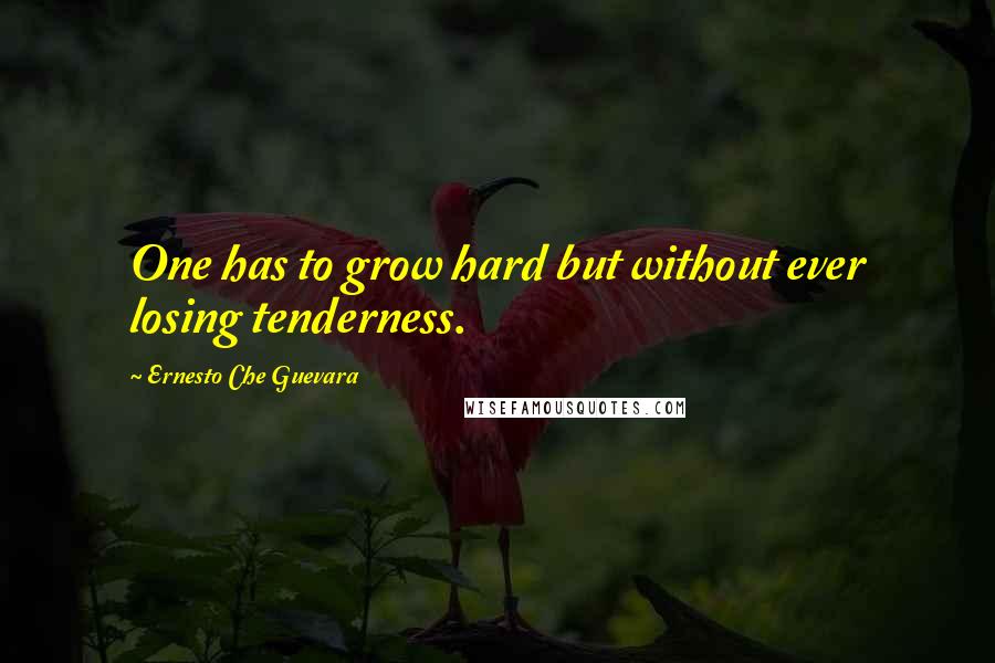 Ernesto Che Guevara Quotes: One has to grow hard but without ever losing tenderness.