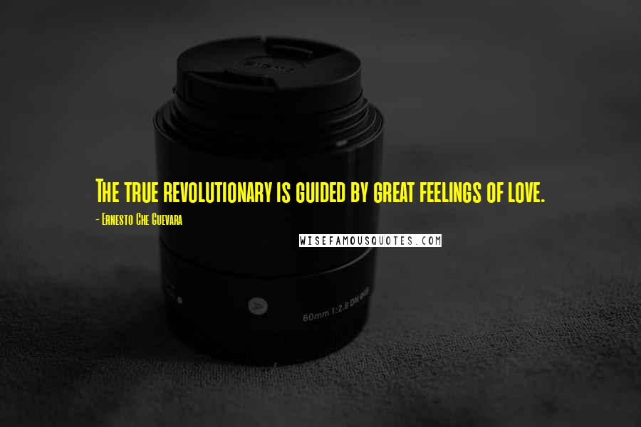 Ernesto Che Guevara Quotes: The true revolutionary is guided by great feelings of love.