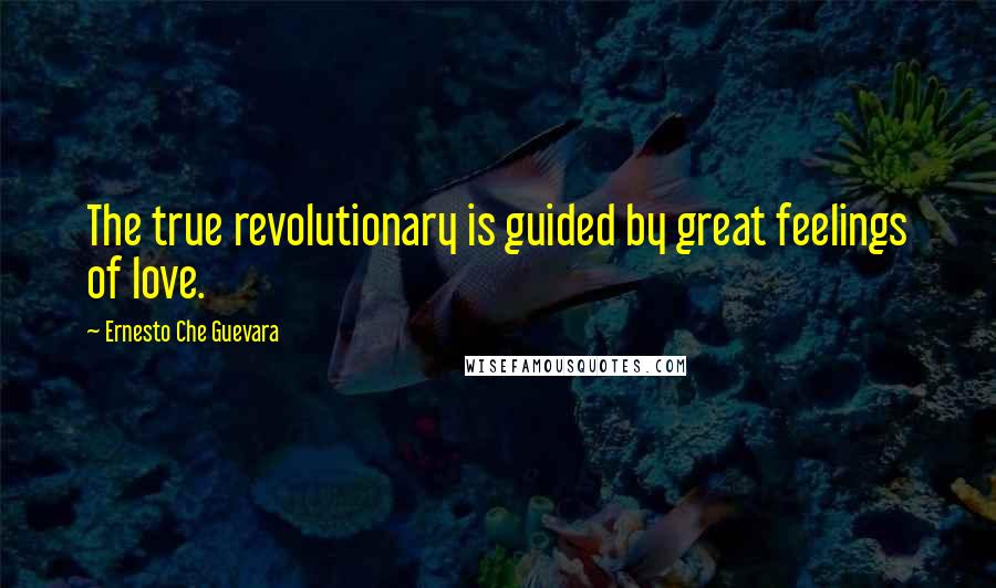 Ernesto Che Guevara Quotes: The true revolutionary is guided by great feelings of love.