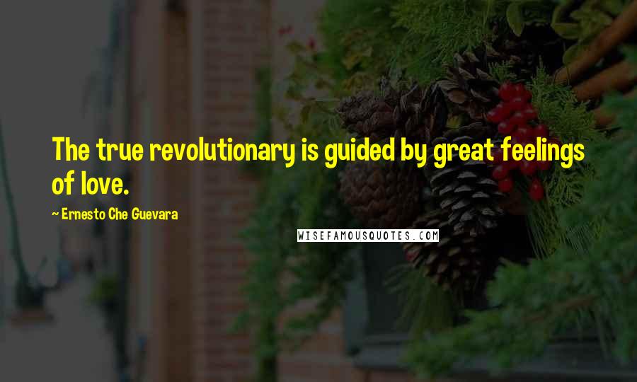 Ernesto Che Guevara Quotes: The true revolutionary is guided by great feelings of love.