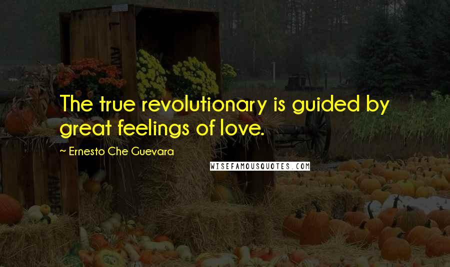 Ernesto Che Guevara Quotes: The true revolutionary is guided by great feelings of love.