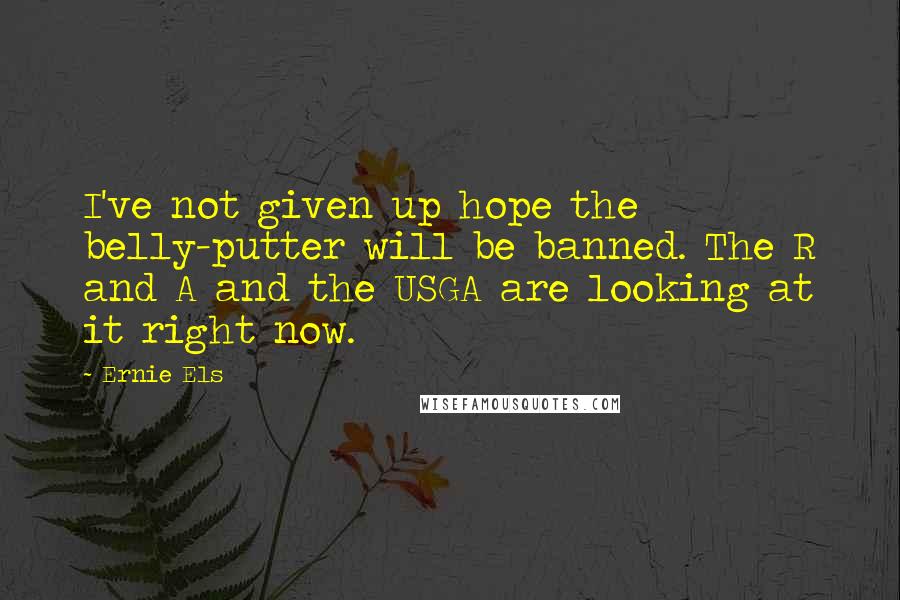 Ernie Els Quotes: I've not given up hope the belly-putter will be banned. The R and A and the USGA are looking at it right now.