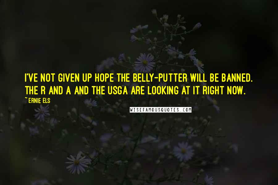 Ernie Els Quotes: I've not given up hope the belly-putter will be banned. The R and A and the USGA are looking at it right now.