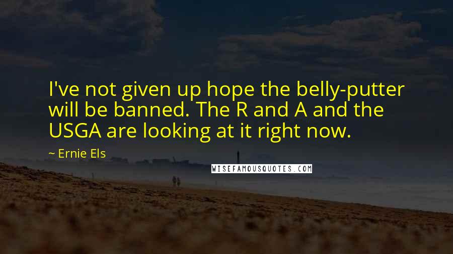 Ernie Els Quotes: I've not given up hope the belly-putter will be banned. The R and A and the USGA are looking at it right now.