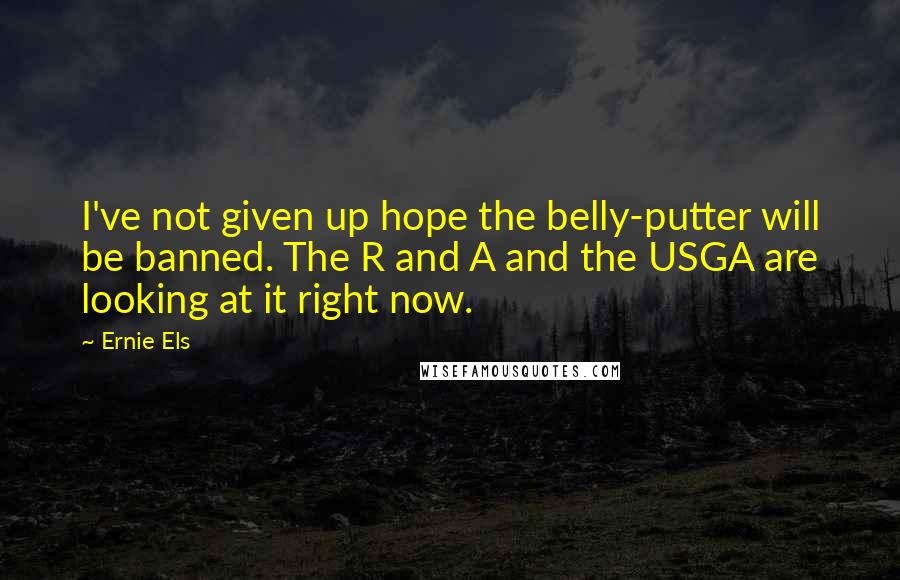 Ernie Els Quotes: I've not given up hope the belly-putter will be banned. The R and A and the USGA are looking at it right now.